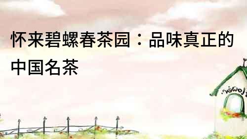 懷來碧螺春茶園：品味真正的中國名茶