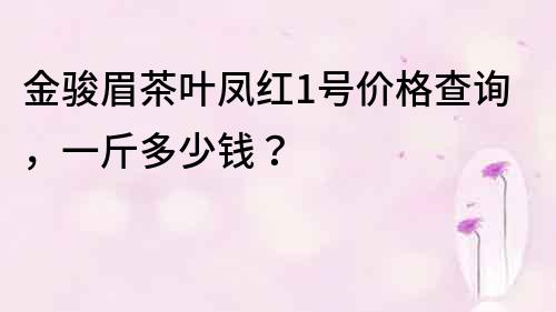 金駿眉茶葉鳳紅1號價格查詢，一斤多少錢？