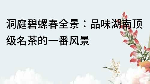 洞庭碧螺春全景：品味湖南頂級(jí)名茶的一番風(fēng)景