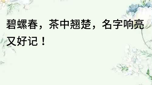 碧螺春，茶中翹楚，名字響亮又好記！