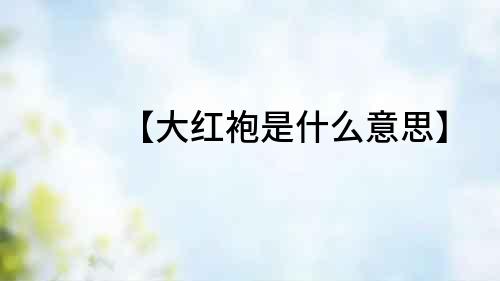 【大紅袍是什么意思】