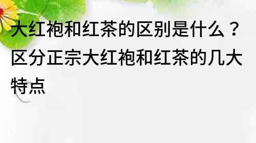 大紅袍和紅茶的區(qū)別是什么？區(qū)分正宗大紅袍和紅茶的幾大特點(diǎn)