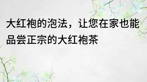 大紅袍的泡法，讓您在家也能品嘗正宗的大紅袍茶