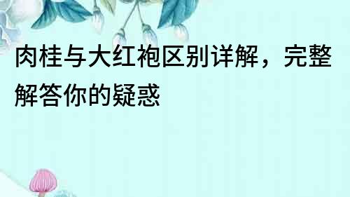 肉桂與大紅袍區(qū)別詳解，完整解答你的疑惑