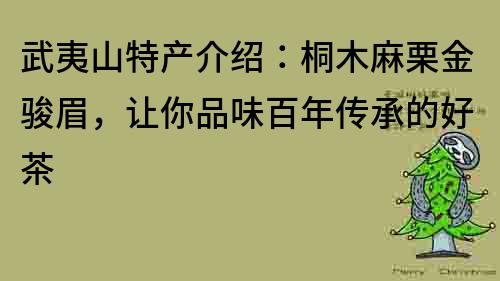 武夷山特產介紹：桐木麻栗金駿眉，讓你品味百年傳承的好茶