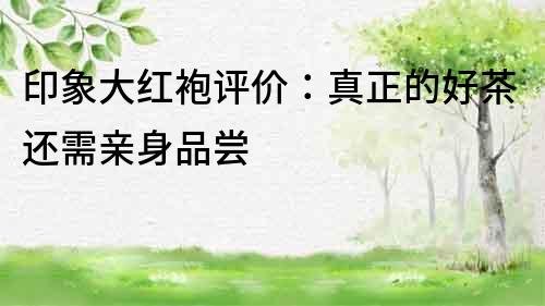 印象大紅袍評價：真正的好茶還需親身品嘗