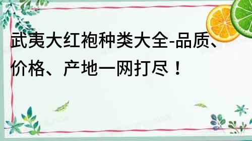 武夷大紅袍種類大全-品質、價格、產地一網打盡！
