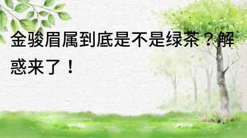金駿眉屬到底是不是綠茶？解惑來了！