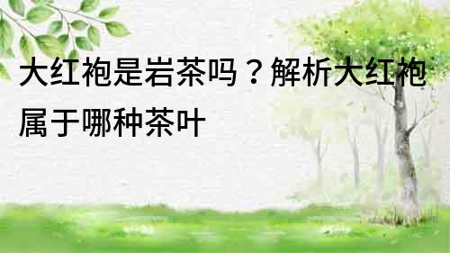 大紅袍是巖茶嗎？解析大紅袍屬于哪種茶葉