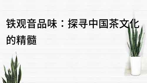 鐵觀音品味：探尋中國茶文化的精髓