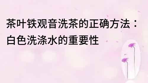 茶葉鐵觀音洗茶的正確方法：白色洗滌水的重要性