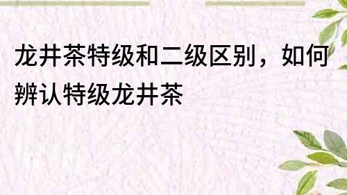 龍井茶特級和二級區(qū)別，如何辨認(rèn)特級龍井茶