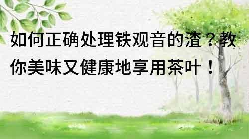 如何正確處理鐵觀音的渣？教你美味又健康地享用茶葉！