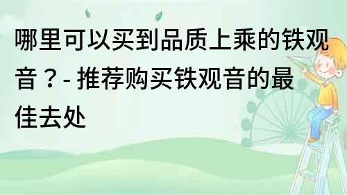 哪里可以買到品質上乘的鐵觀音？- 推薦購買鐵觀音的最佳去處