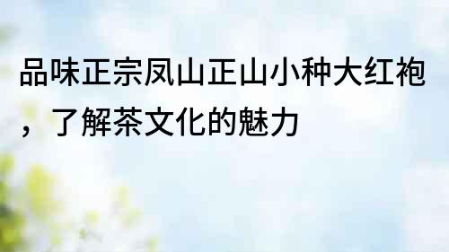 品味正宗鳳山正山小種大紅袍，了解茶文化的魅力