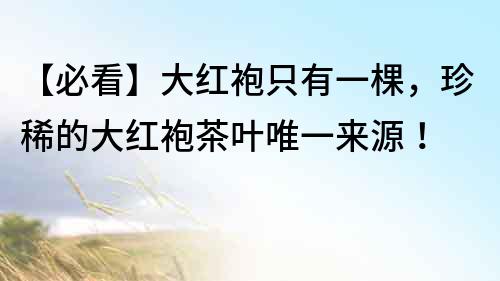 【必看】大紅袍只有一棵，珍稀的大紅袍茶葉唯一來源！