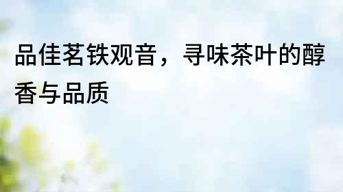 品佳茗鐵觀音，尋味茶葉的醇香與品質