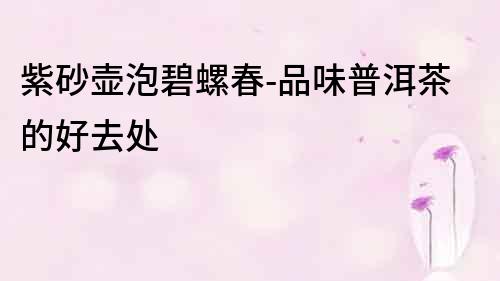 紫砂壺泡碧螺春-品味普洱茶的好去處