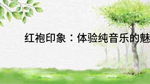 紅袍印象：體驗純音樂的魅力