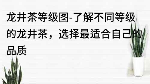 龍井茶等級圖-了解不同等級的龍井茶，選擇最適合自己的品質