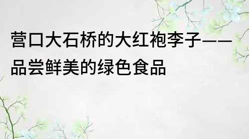 營口大石橋的大紅袍李子——品嘗鮮美的綠色食品