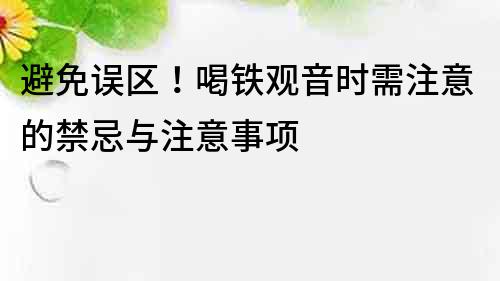 避免誤區！喝鐵觀音時需注意的禁忌與注意事項