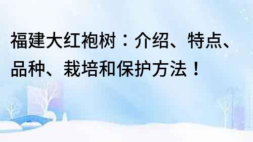 福建大紅袍樹：介紹、特點(diǎn)、品種、栽培和保護(hù)方法！