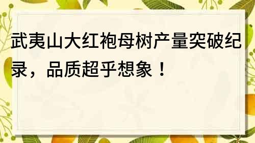 武夷山大紅袍母樹(shù)產(chǎn)量突破紀(jì)錄，品質(zhì)超乎想象！