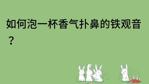 如何泡一杯香氣撲鼻的鐵觀音？