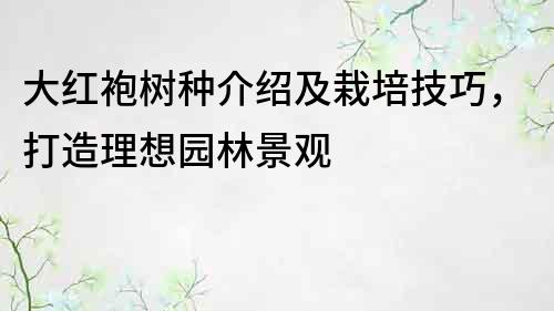 大紅袍樹種介紹及栽培技巧，打造理想園林景觀