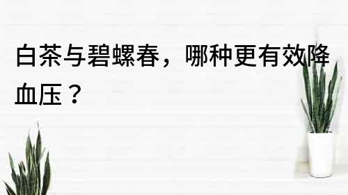 白茶與碧螺春，哪種更有效降血壓？
