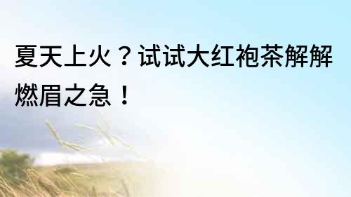 夏天上火？試試大紅袍茶解解燃眉之急！