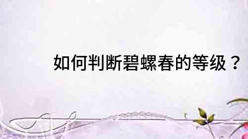如何判斷碧螺春的等級？
