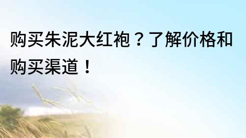 購買朱泥大紅袍？了解價格和購買渠道！