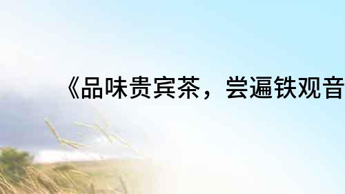 《品味貴賓茶，嘗遍鐵觀音》