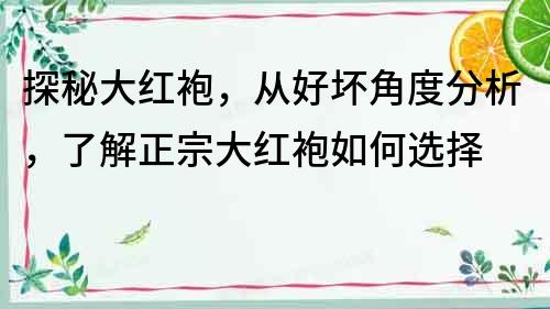 探秘大紅袍，從好壞角度分析，了解正宗大紅袍如何選擇