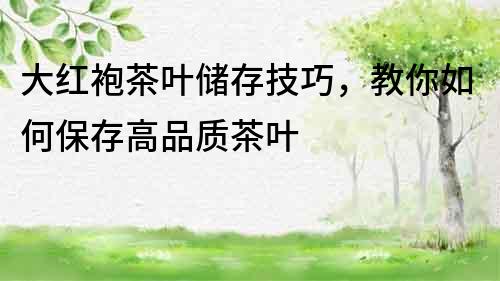 大紅袍茶葉儲存技巧，教你如何保存高品質茶葉