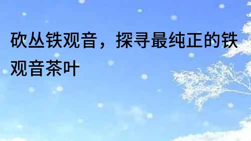 砍叢鐵觀音，探尋最純正的鐵觀音茶葉