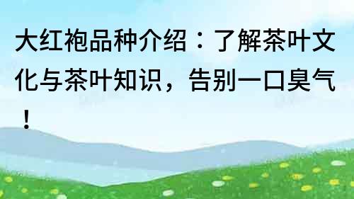 大紅袍品種介紹：了解茶葉文化與茶葉知識，告別一口臭氣！