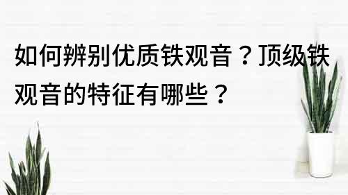 如何辨別優質鐵觀音？頂級鐵觀音的特征有哪些？