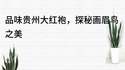 品味貴州大紅袍，探秘畫眉鳥之美