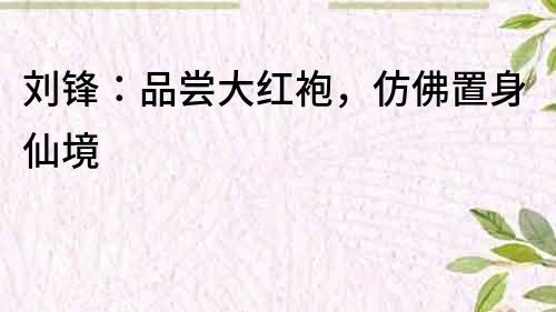 劉鋒：品嘗大紅袍，仿佛置身仙境
