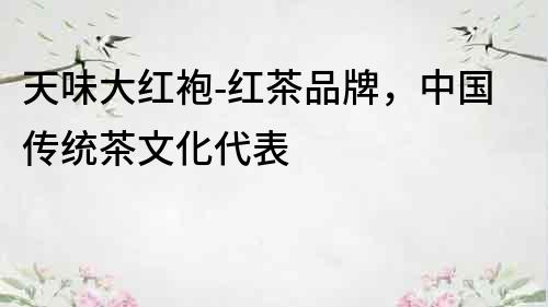天味大紅袍-紅茶品牌，中國傳統茶文化代表