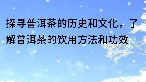 探尋普洱茶的歷史和文化，了解普洱茶的飲用方法和功效