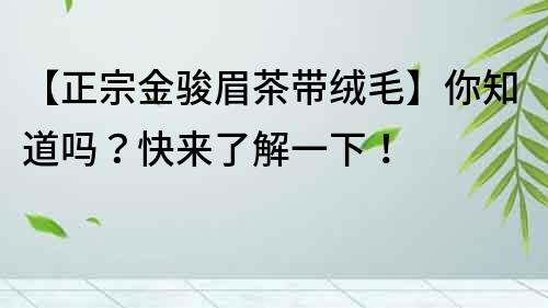 【正宗金駿眉茶帶絨毛】你知道嗎？快來了解一下！