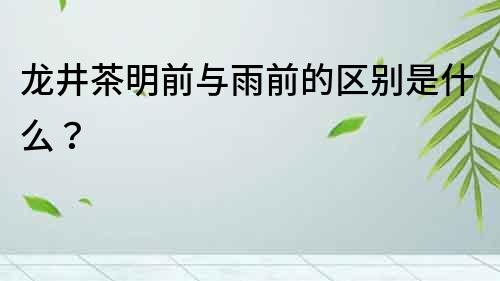 龍井茶明前與雨前的區別是什么？