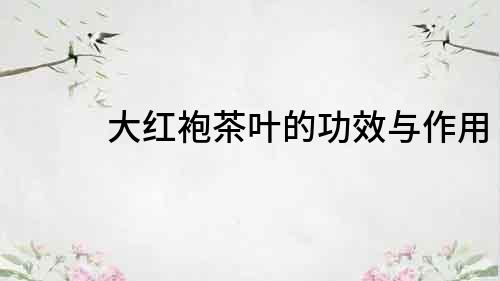 大紅袍茶葉的功效與作用