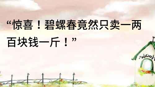 “驚喜！碧螺春竟然只賣一兩百塊錢一斤！”
