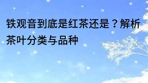 鐵觀音到底是紅茶還是？解析茶葉分類與品種