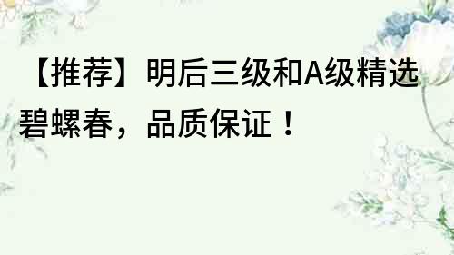【推薦】明后三級和A級精選碧螺春，品質保證！